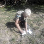 2014-07-16 (3)