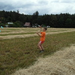 SAM_6927