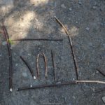 IMG_6808