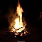 IMG_7092